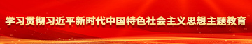 鸡扒插进去的视频学习贯彻习近平新时代中国特色社会主义思想主题教育